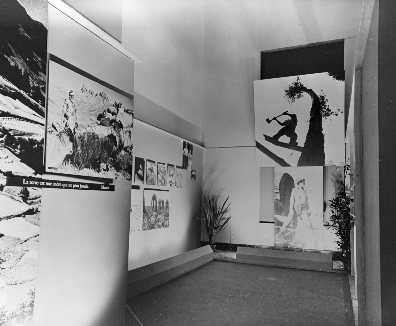 Layout view of a Family of Man installation