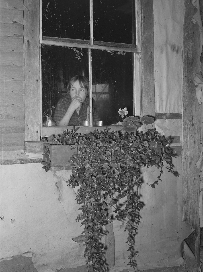 Russell Lee, Vermont farm scene, October 1939