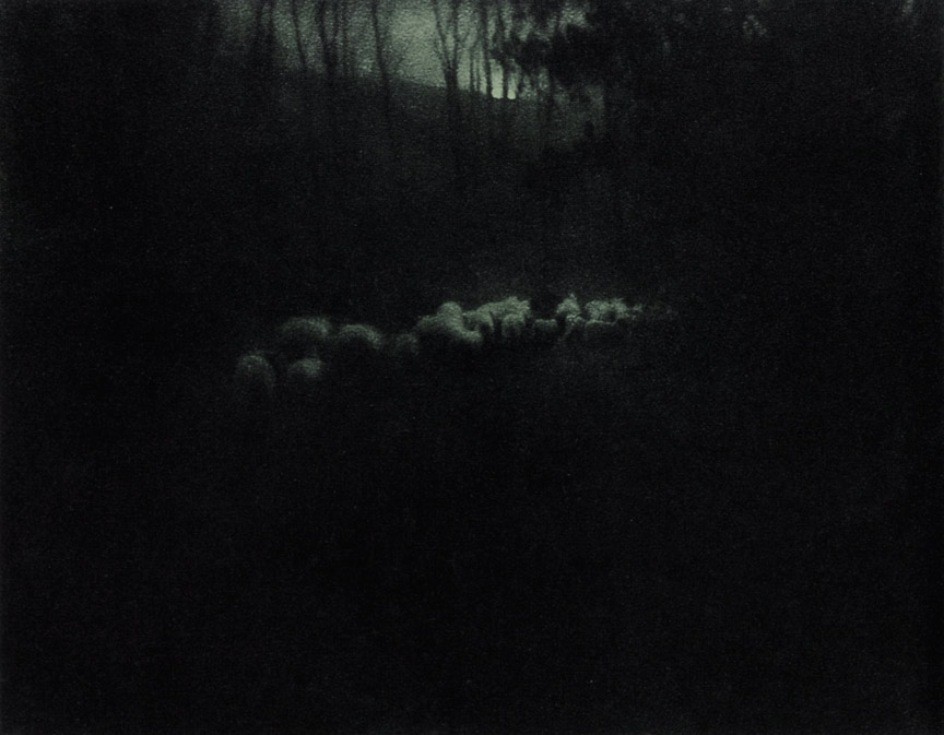 Edward Steichen, Pastoral, 1907