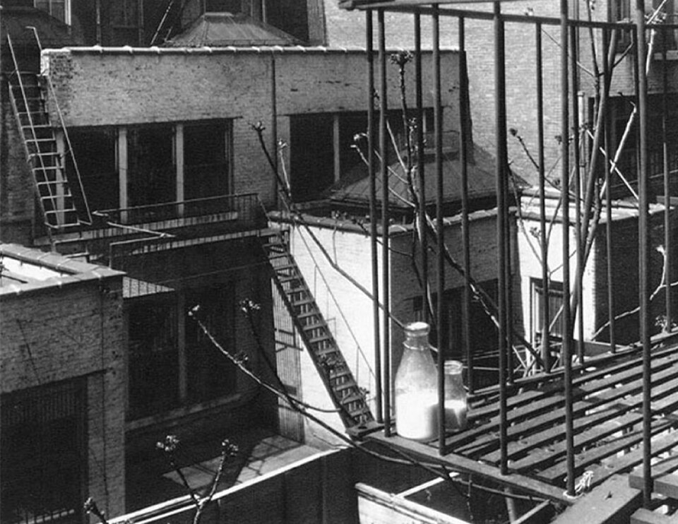 Edward Steichen, Milk Bottles on a Fire Escape, 1915